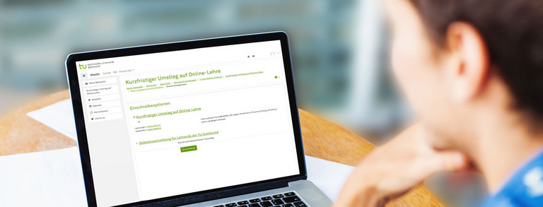 Student on laptop Student sits at workstation and looks at laptop.